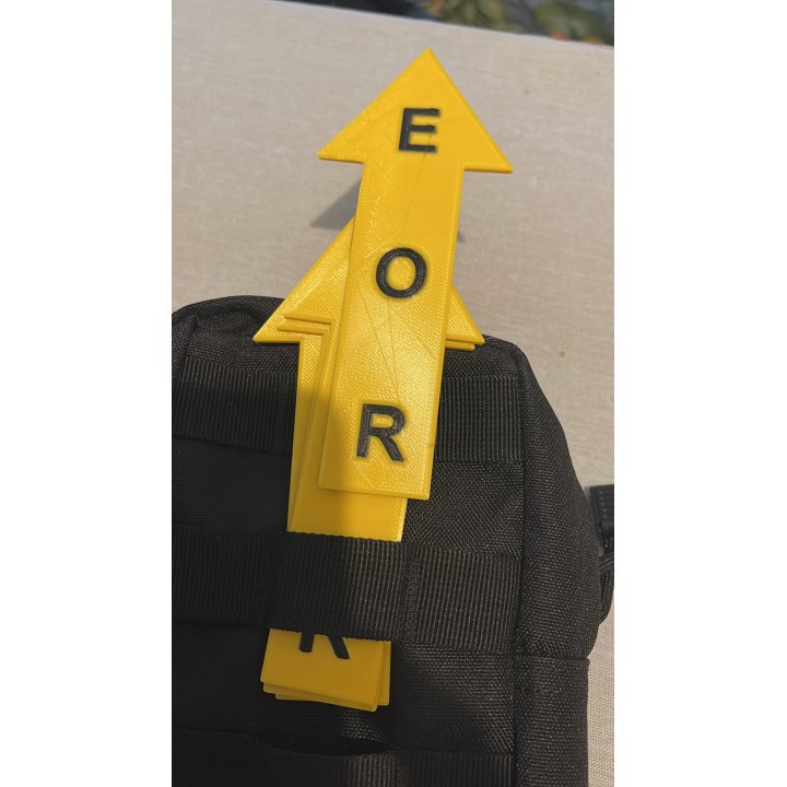 copy of Fleche EOR